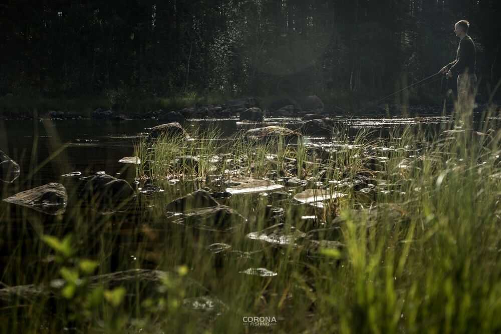 wędkarstwo skandynawia
